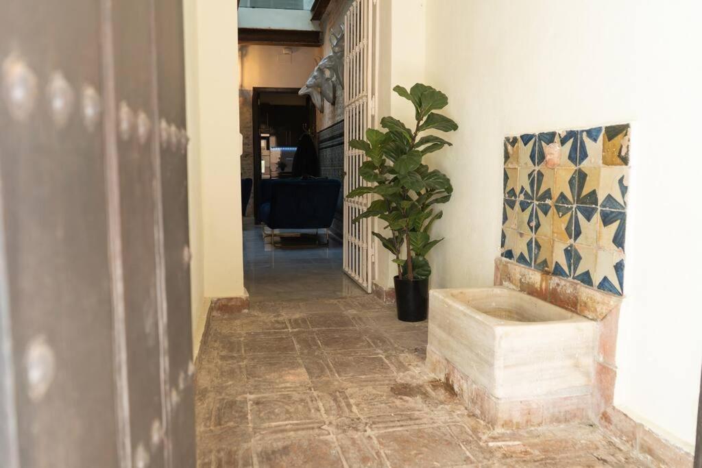 Nueva Casa Boutique En El Centro De Sevilla Экстерьер фото