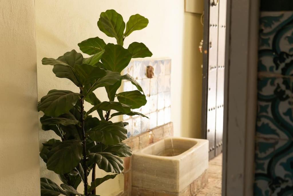 Nueva Casa Boutique En El Centro De Sevilla Экстерьер фото